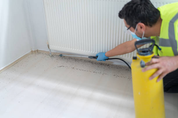 Best Exterminator Services  in Las Vegas, NM